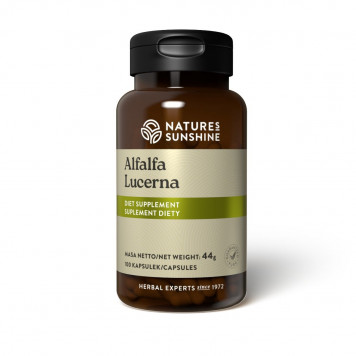 Люцерна НСП NSP, артикул 30