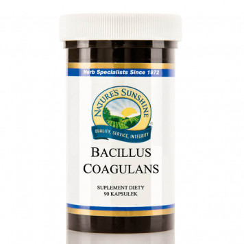 Bacillus coagulans (Bacillus coagulans) probiotic   Bacillus coagulans (Bacillus coagulans) probiotic  NSP, model 6109 | Image № 2