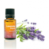 Эфирное масло - Лаванда (Lavender) Эфирное масло - Лаванда (Lavender)