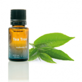 Эфирное масло - Чайное дерево (Tea Tree) Эфирное масло - Чайное дерево (Tea Tree)